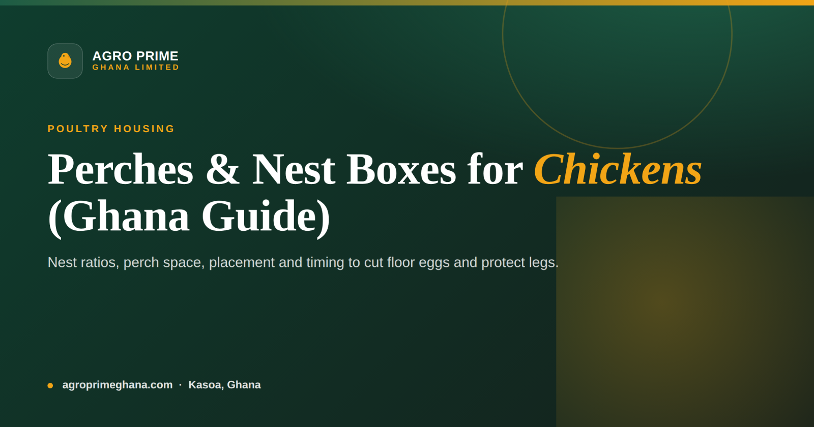 Perches and Nest Boxes for Chickens: A Ghana Setup Guide — Agro Prime Ghana