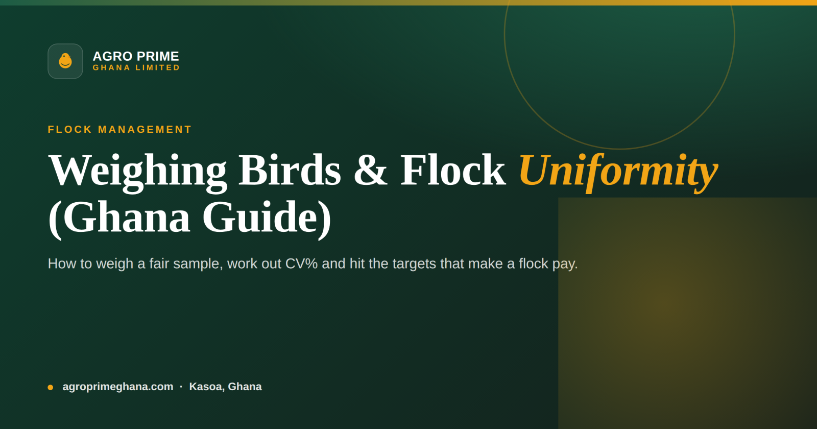 Weighing Birds and Flock Uniformity: A Ghana Guide — Agro Prime Ghana
