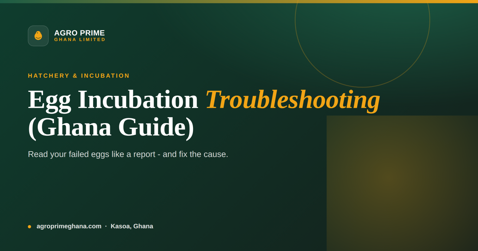Egg Incubation Troubleshooting: Reading Your Hatch Failures — Agro Prime Ghana