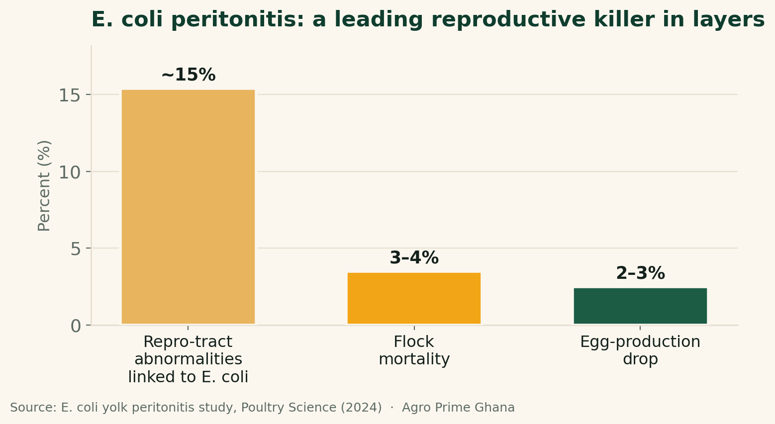 Bar chart showing E. coli peritonitis links to ~15% of reproductive-tract abnormalities, 3-4% flock mortality and a 2-3% egg-production drop. Source: Poultry Science 2024.