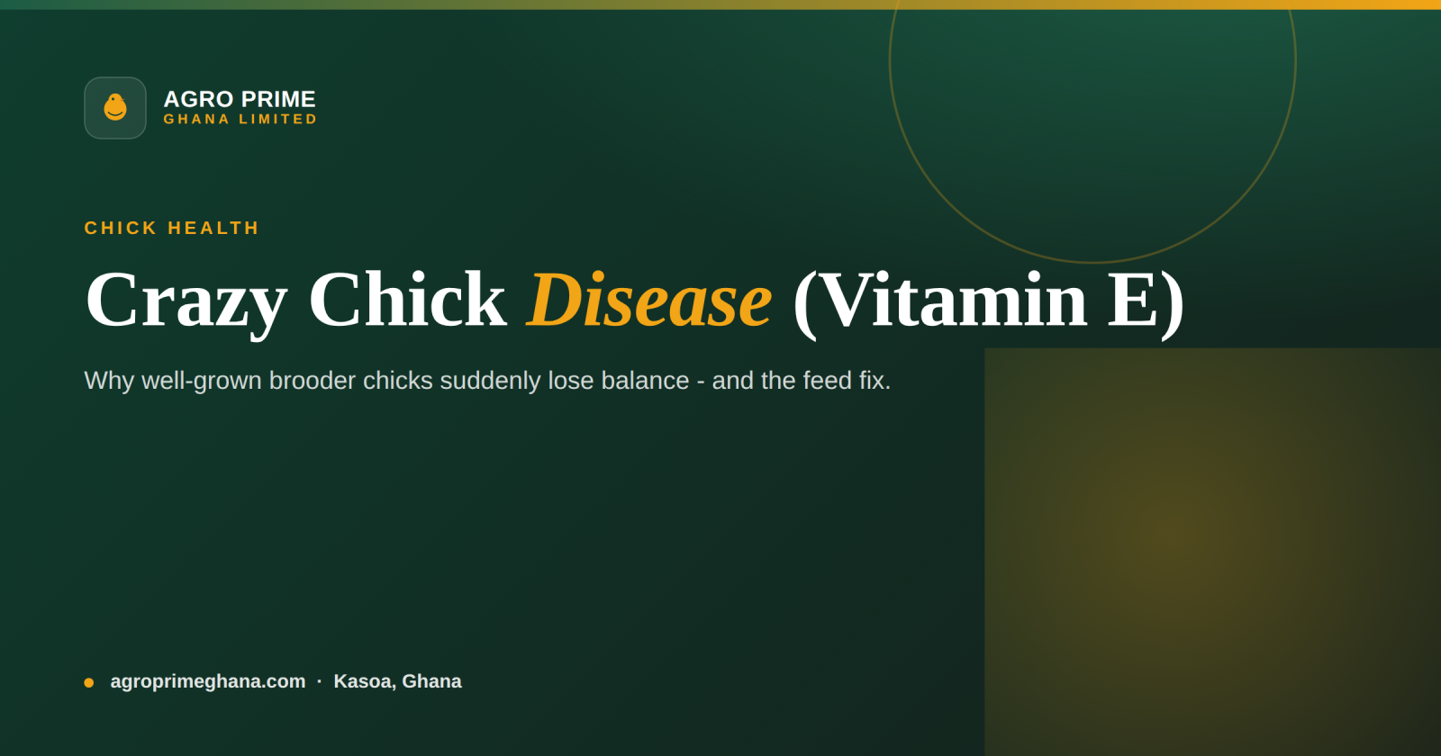 Crazy Chick Disease (Vitamin E Deficiency): A Ghana Guide — Agro Prime Ghana
