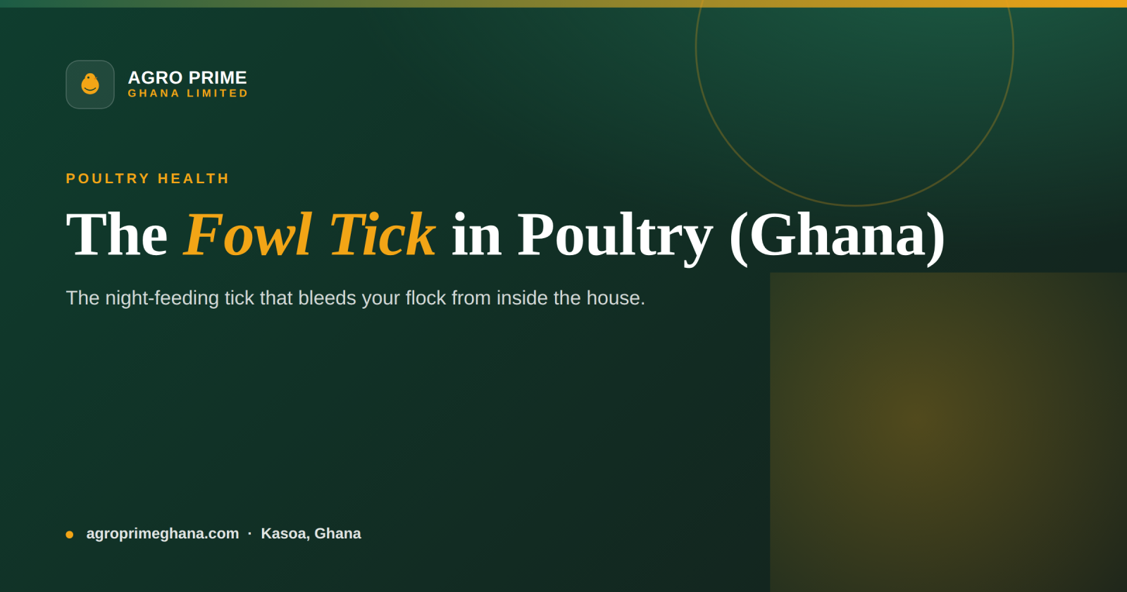 Fowl Tick in Poultry: A Ghana Farmer's Guide — Agro Prime Ghana