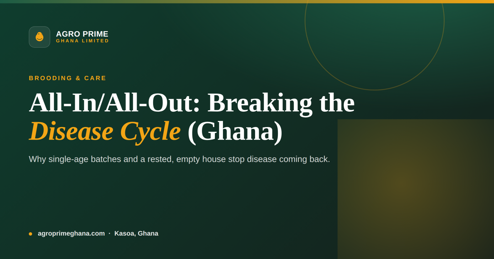 All-In/All-Out Poultry Management: How to Break Disease Cycles in Ghana — Agro Prime Ghana