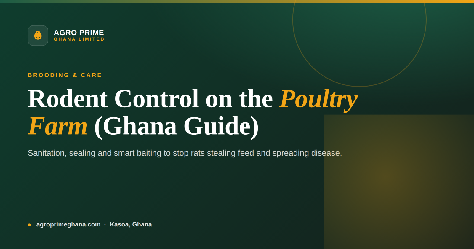Rodent Control on a Poultry Farm: Stopping Rats and Mice in Ghana — Agro Prime Ghana