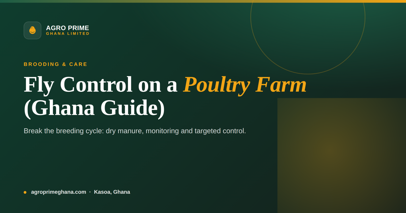 Fly Control on a Poultry Farm: A Ghana Guide — Agro Prime Ghana