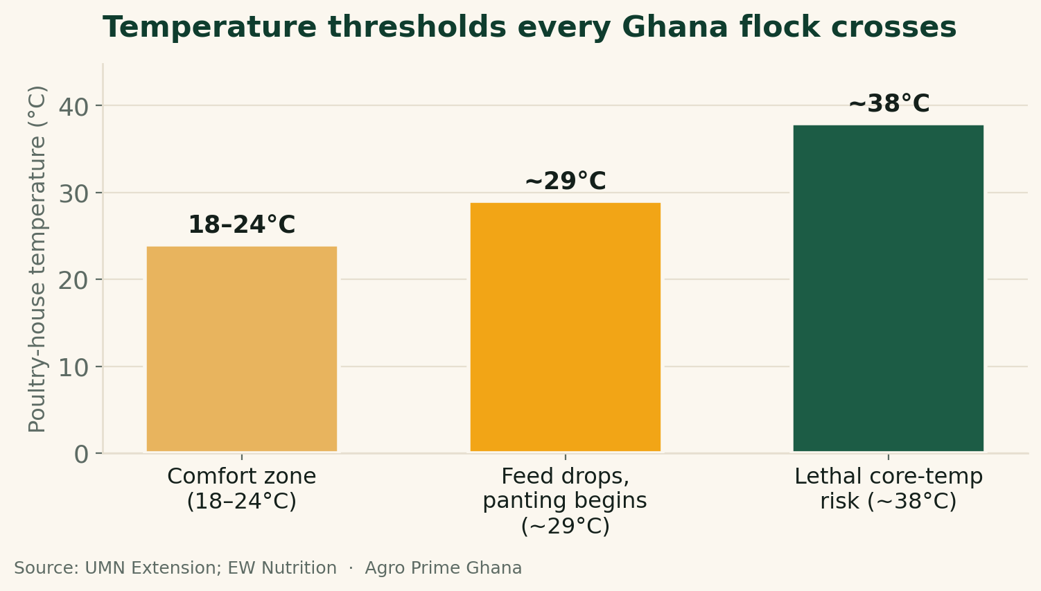 Bar chart of poultry temperature thresholds: comfort zone 18-24C, panting and feed drop around 29C, and lethal near 38C. Source: University of Minnesota Extension.