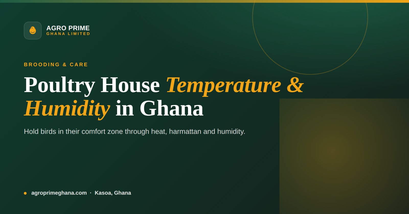 Managing Temperature and Humidity in a Poultry House: A Ghana Guide — Agro Prime Ghana
