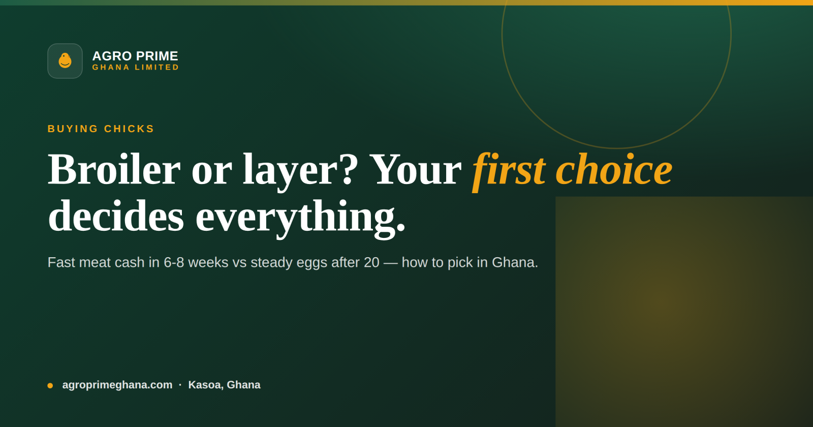 Broiler vs Layer Day-Old Chicks: Which Should You Buy in Ghana? — Agro Prime Ghana