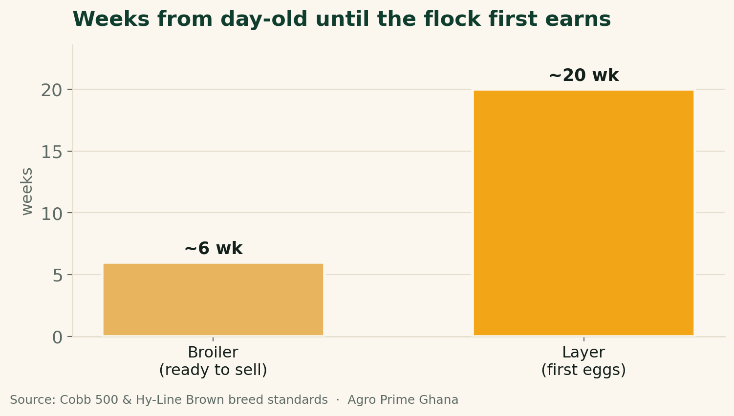 Bar chart of weeks from day-old to first income: broilers ready to sell at about 6 weeks, layers first eggs at about 20 weeks. Source: Cobb & Hy-Line standards.