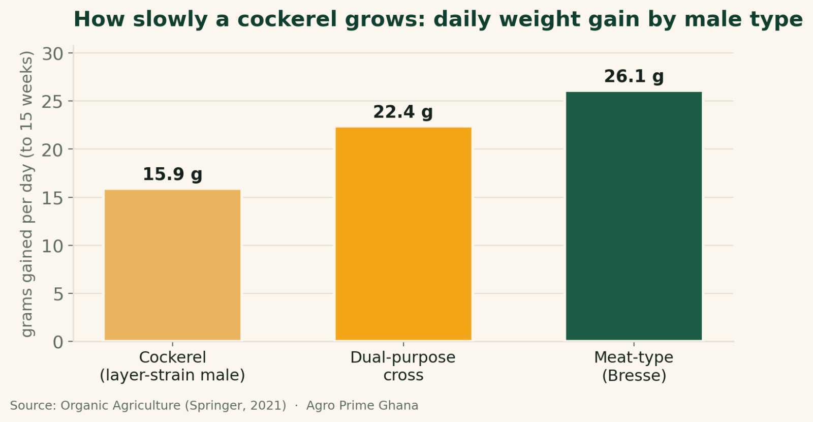 Bar chart comparing daily weight gain of a layer-strain cockerel (15.9 g/day) with dual-purpose and meat-type males, from Organic Agriculture (Springer, 2021).