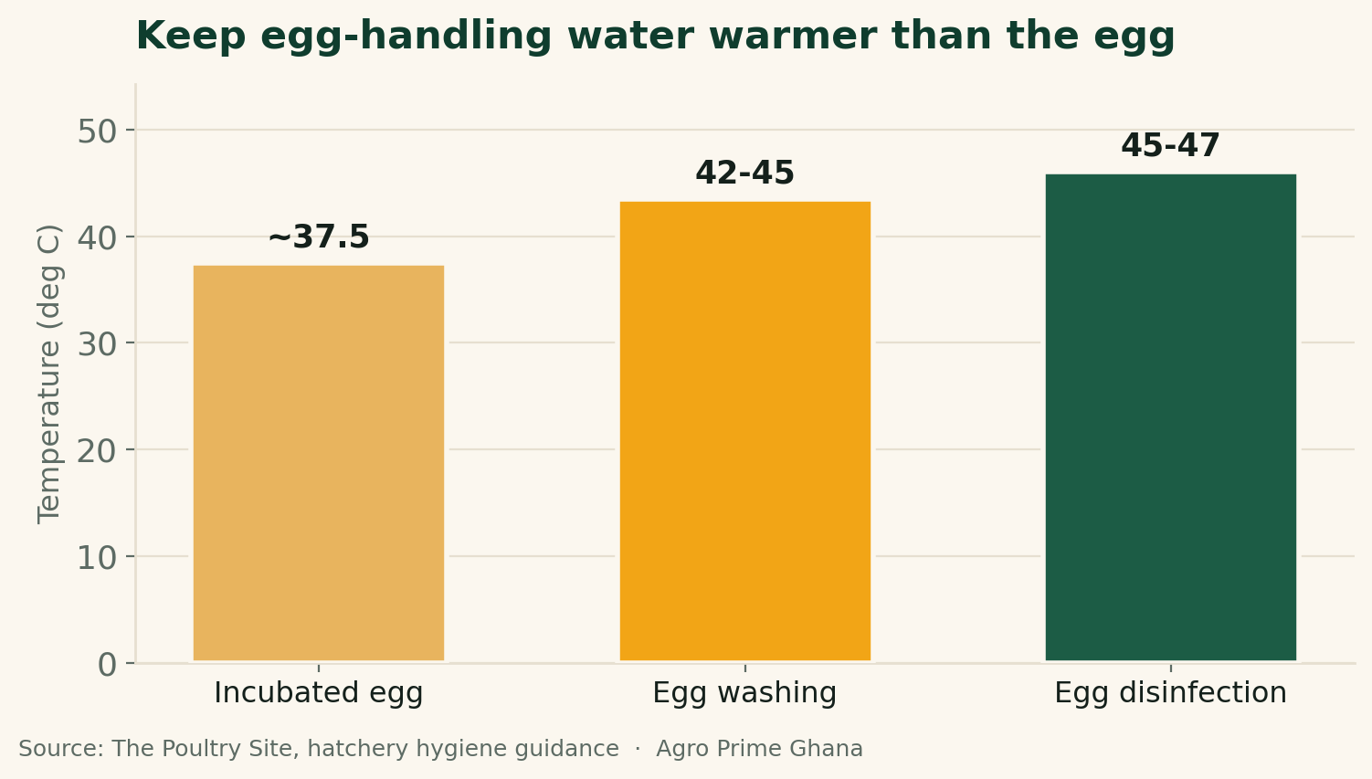 Bar chart showing egg-handling water should be warmer than the egg: incubated egg about 37.5C, washing 42-45C, disinfection 45-47C. Source: The Poultry Site.