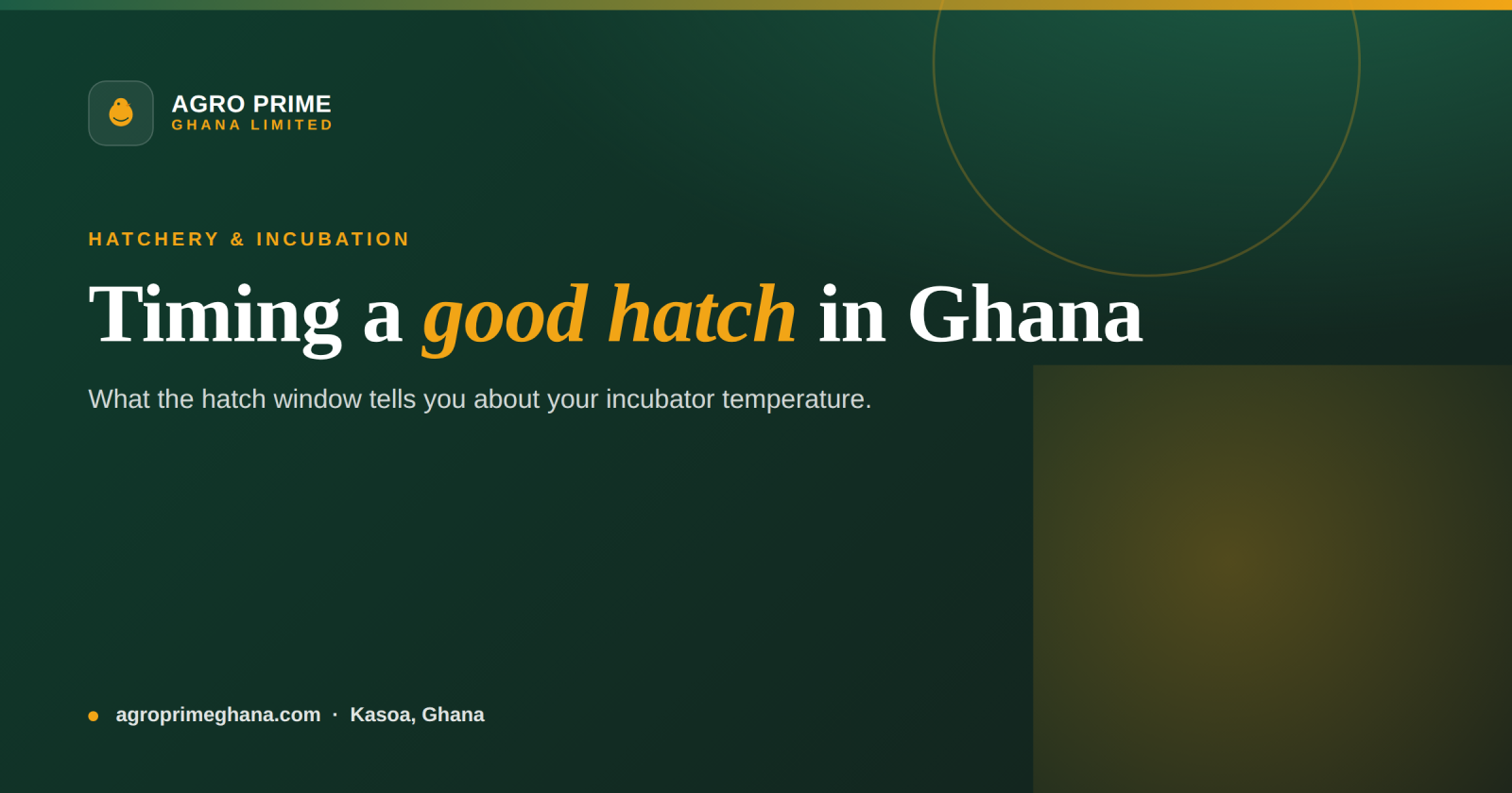 The Hatch Window: Timing a Good Hatch in Ghana — Agro Prime Ghana