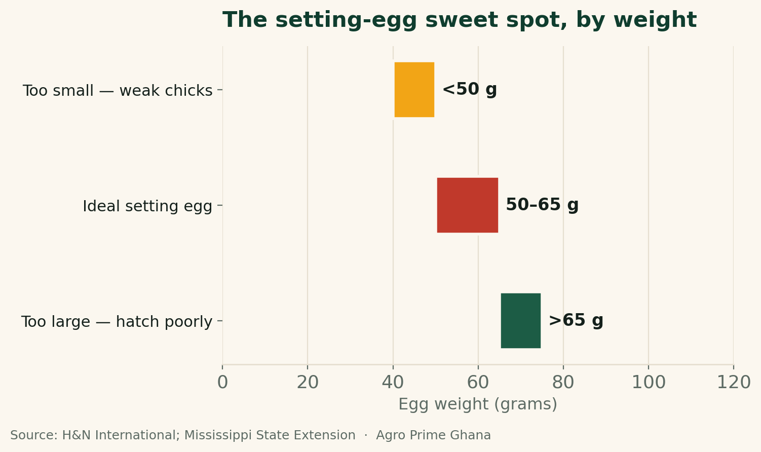 Range chart of setting-egg weight: under 50g too small and weak, 50-65g ideal, over 65g too large and hatches poorly. Source: H&N International; Mississippi State Extension.