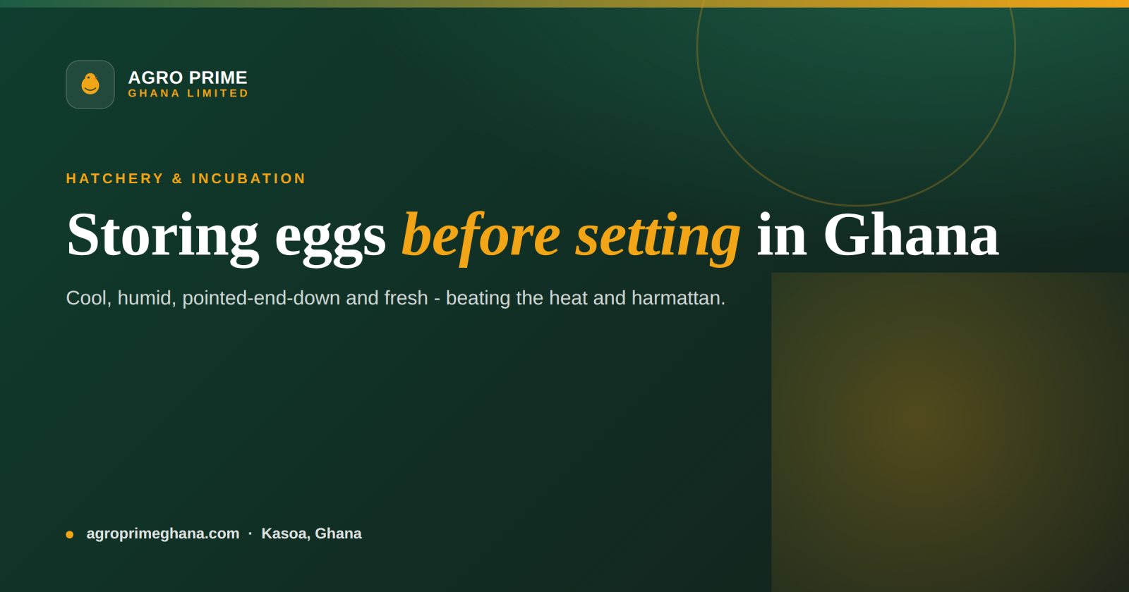 Storing Hatching Eggs Before Setting: A Ghana Guide — Agro Prime Ghana