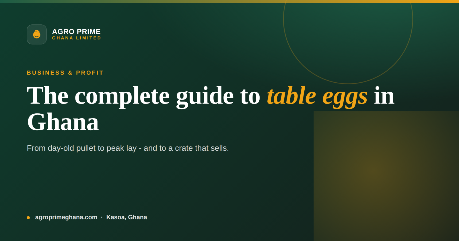 Table Egg Production in Ghana: A Complete Guide — Agro Prime Ghana