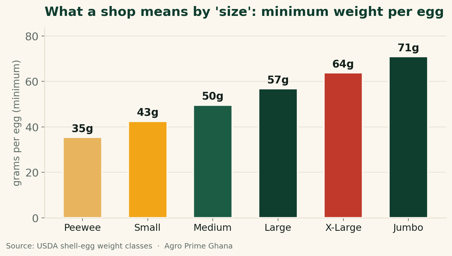Bar chart of minimum egg weight per size grade, from peewee 35g to jumbo 71g, showing what shops mean by size; source USDA shell-egg weight classes.