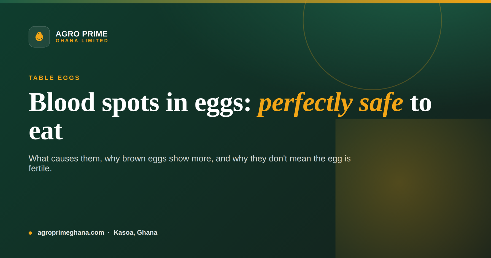 Blood Spots and Meat Spots in Eggs: Are They Safe? — Agro Prime Ghana