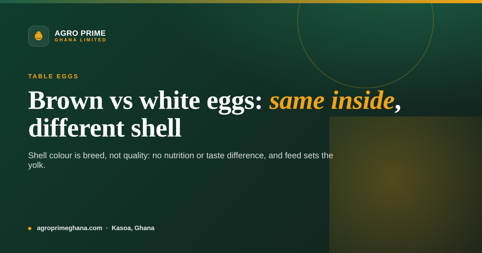 Brown vs White Eggs: What's the Difference? — Agro Prime Ghana