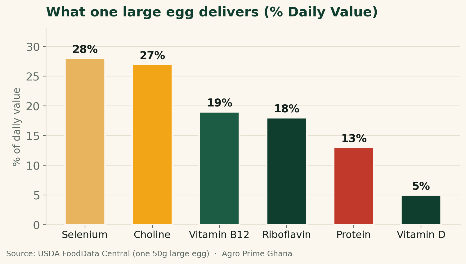 Bar chart of one large egg's nutrients as percent Daily Value: selenium 28%, choline 27%, vitamin B12 19%, riboflavin 18%, protein 13%, vitamin D 5%. Source: USDA FoodData Central.