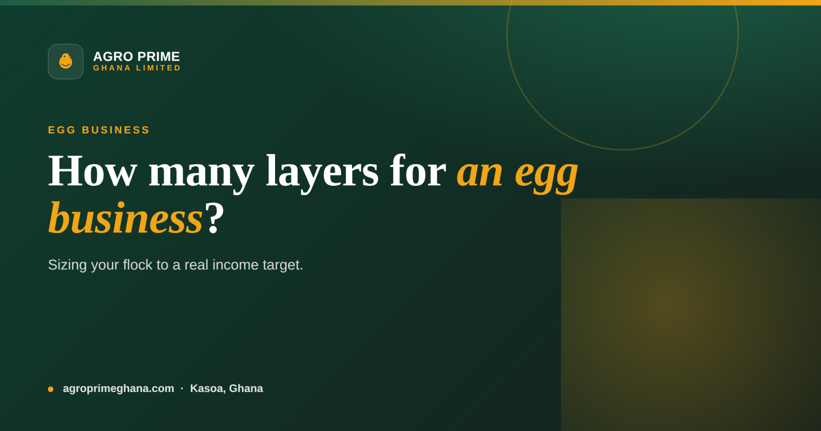How Many Layers Do You Need for an Egg Business in Ghana? — Agro Prime Ghana