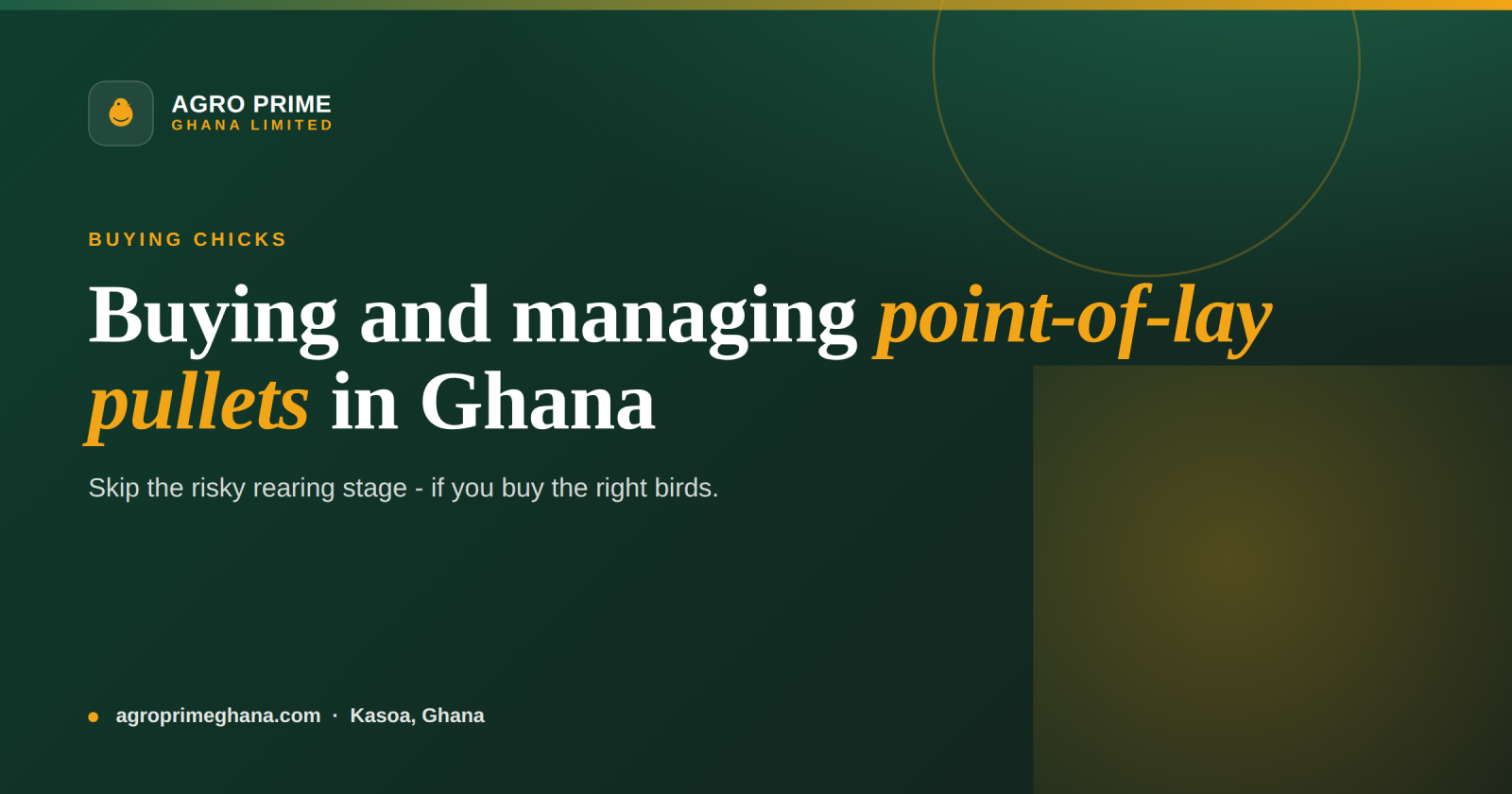 Point-of-Lay Pullets in Ghana: Buying and Managing — Agro Prime Ghana