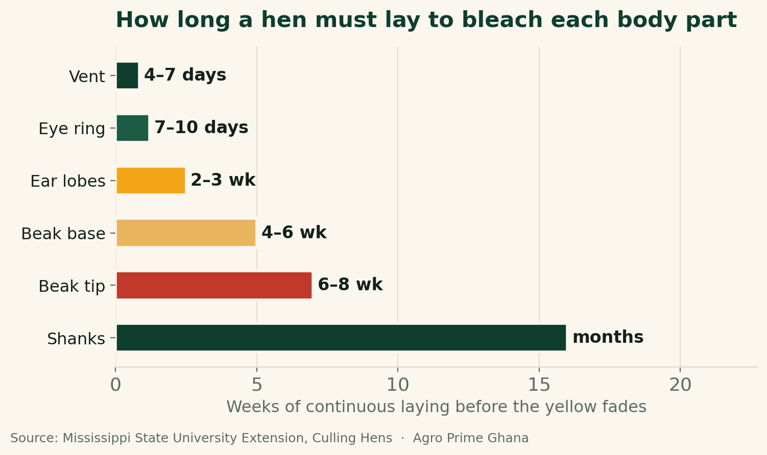 Bar chart showing how many weeks of laying it takes to bleach the yellow from a hen's vent, eye ring, ear lobes, beak and shanks. Source: Mississippi State University Extension.