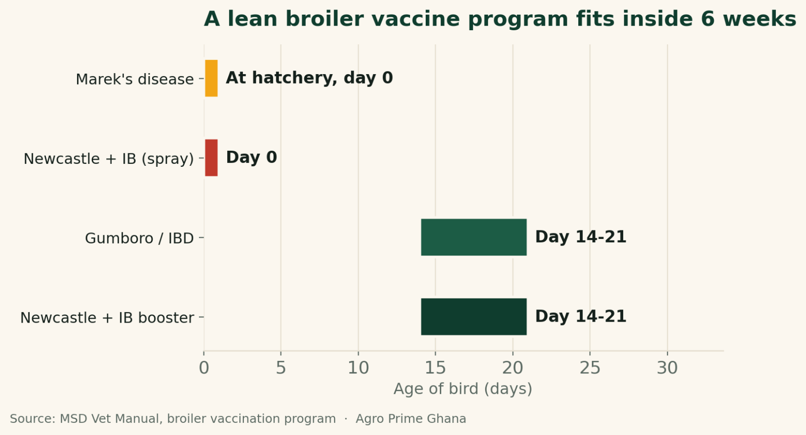 Timeline of the broiler vaccine programme showing Marek's and Newcastle/IB at day 0 and Gumboro plus an ND booster at day 14-21. Source: MSD Veterinary Manual.