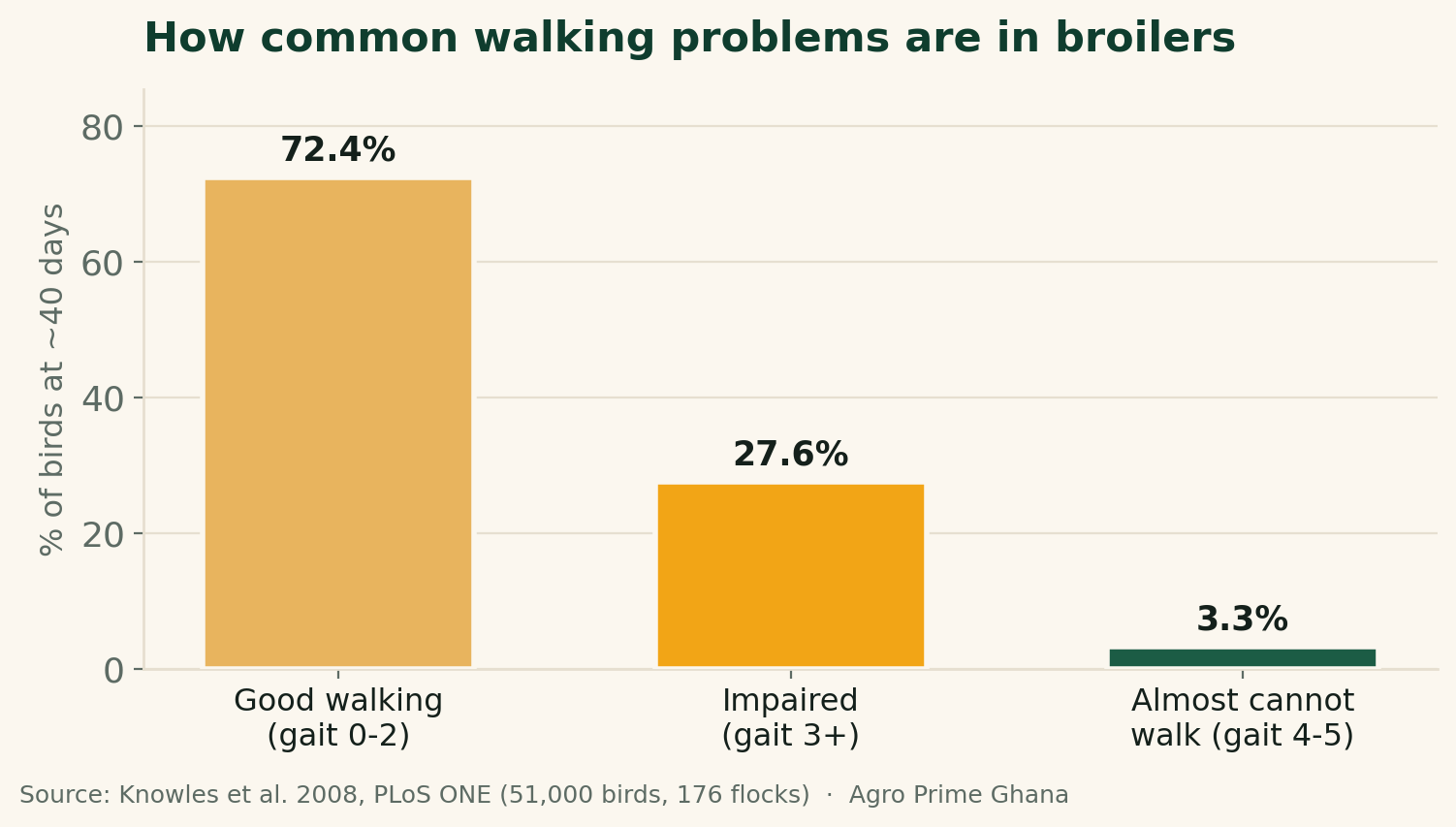 Bar chart showing that at about 40 days, 72.4% of broilers walked well, 27.6% had impaired walking (gait score 3+), and 3.3% could barely walk. Source: Knowles et al. 2008, PLoS ONE.