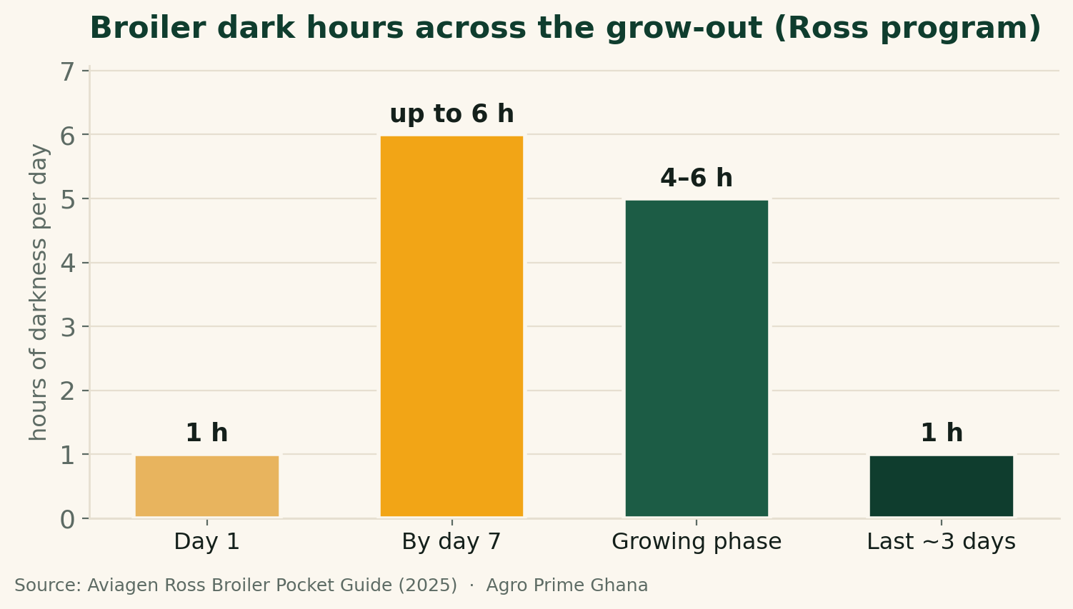 Bar chart of hours of darkness per day across a broiler grow-out, rising from 1 hour on day 1 to 4-6 hours in the growing phase, per Aviagen Ross guidance.