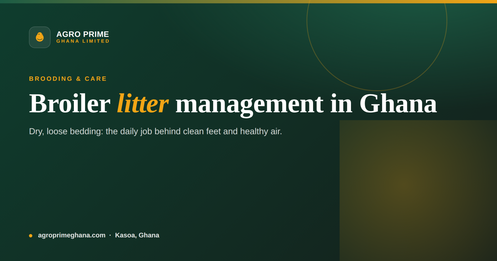 Broiler Litter Management in Ghana — Agro Prime Ghana
