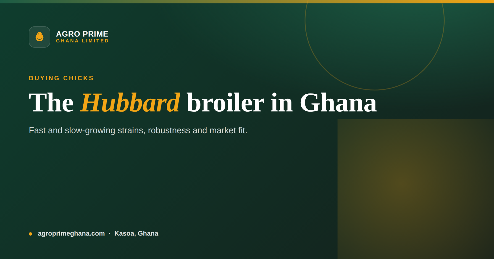 Hubbard Broiler Guide for Ghana — Agro Prime Ghana