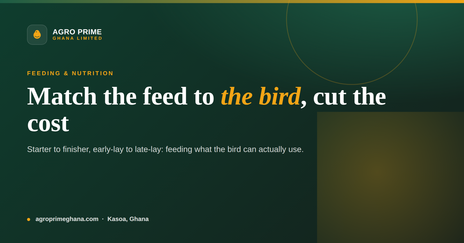 Phase Feeding in Poultry: A Ghana Guide — Agro Prime Ghana
