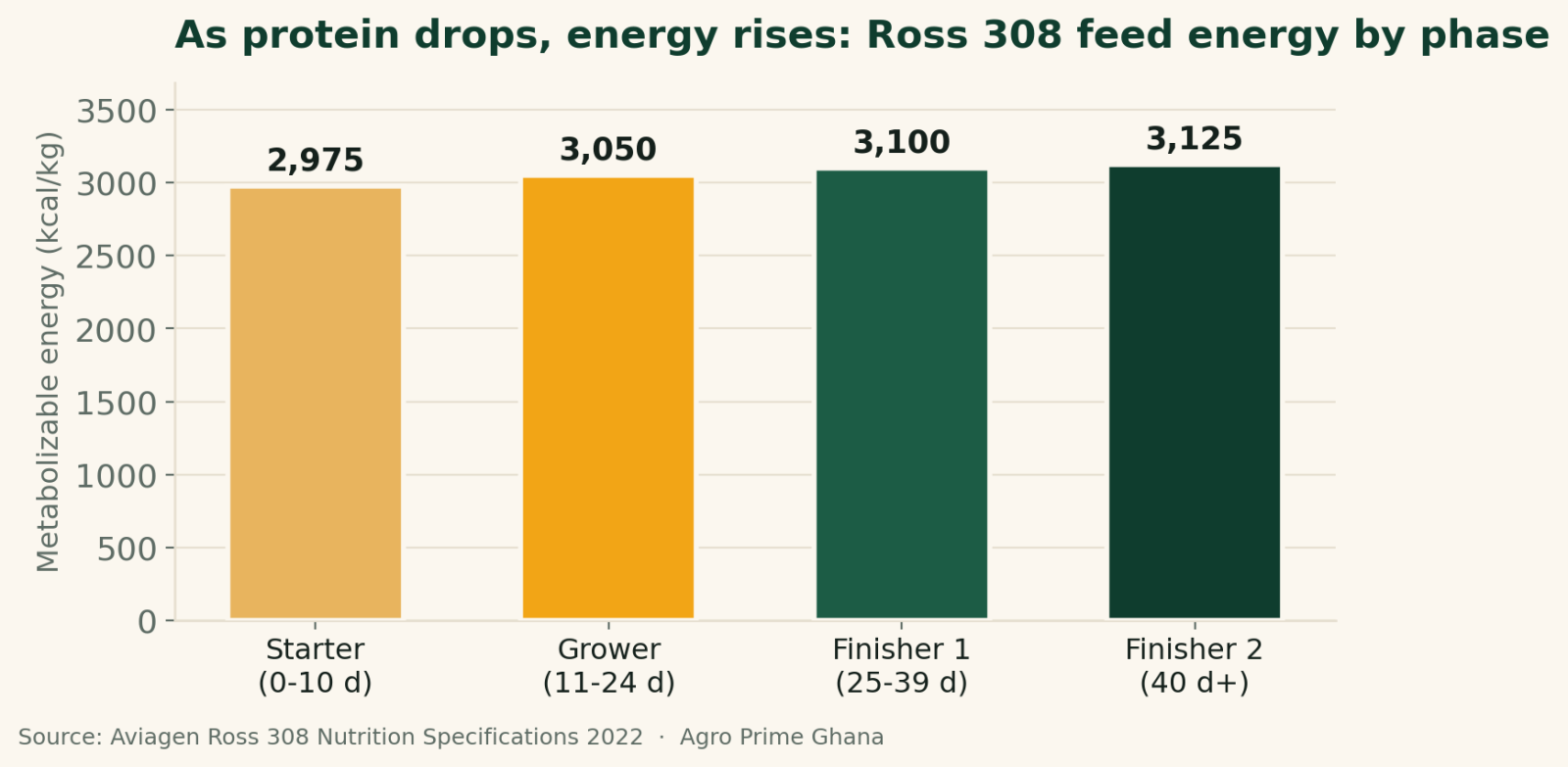 Vertical bar chart showing Ross 308 broiler feed energy rising from 2,975 to 3,125 kcal/kg across starter, grower and finisher phases, per Aviagen 2022 specifications.
