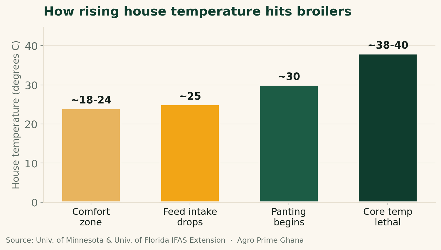 Bar chart of house temperatures affecting broilers: comfort ~18-24C, feed intake drops ~25C, panting ~30C, core temperature lethal ~38-40C, from Minnesota and Florida IFAS Extension.