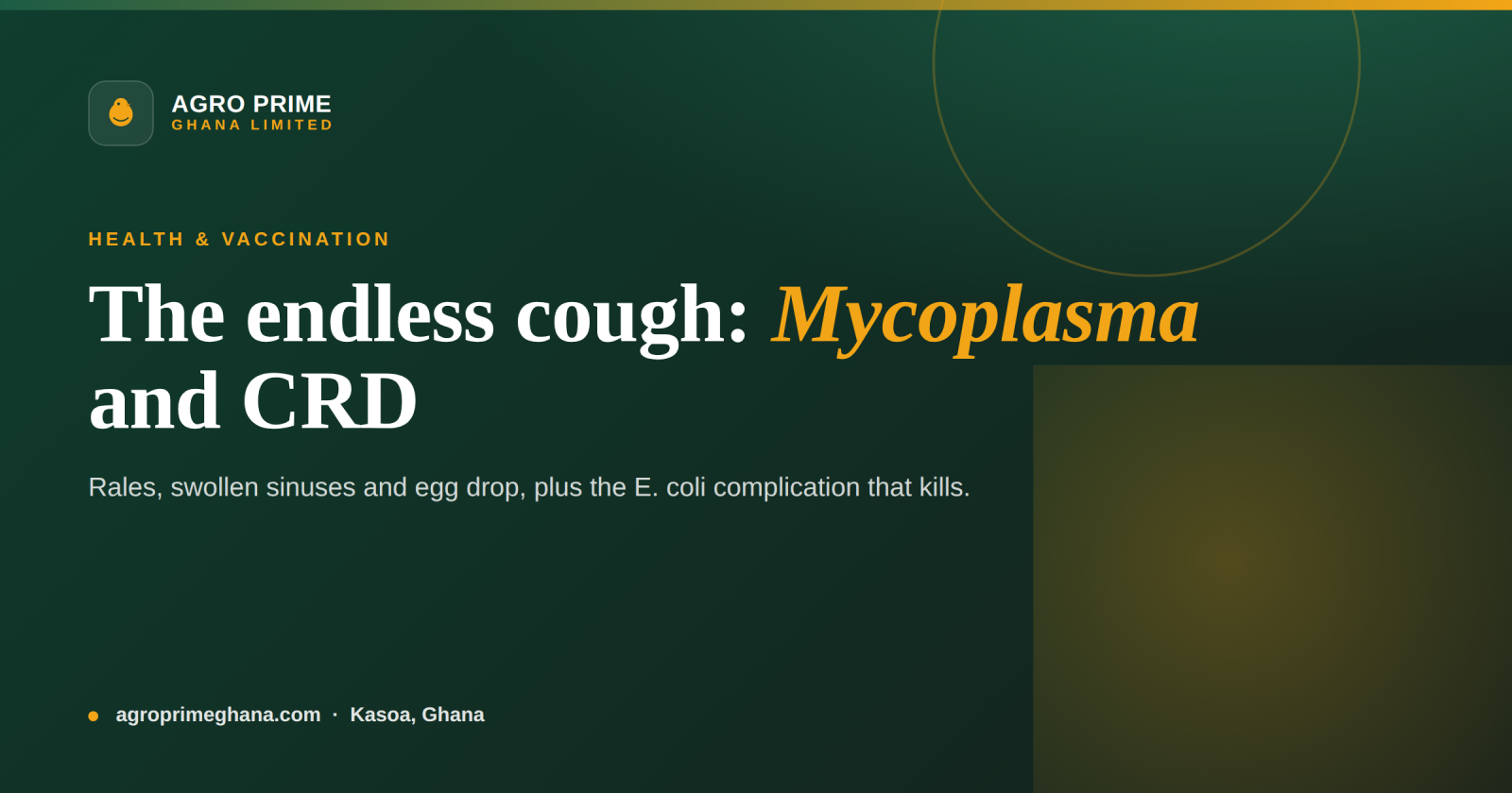 Chronic Respiratory Disease (Mycoplasma) in Poultry — Agro Prime Ghana