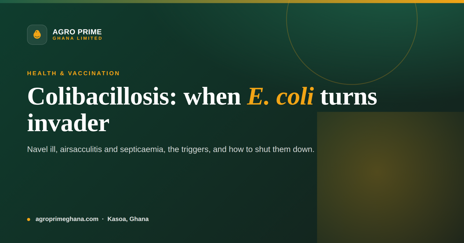 Colibacillosis (E. coli) in Poultry in Ghana — Agro Prime Ghana