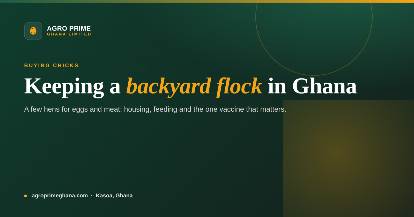 Backyard Poultry Keeping in Ghana: A Beginner's Guide — Agro Prime Ghana