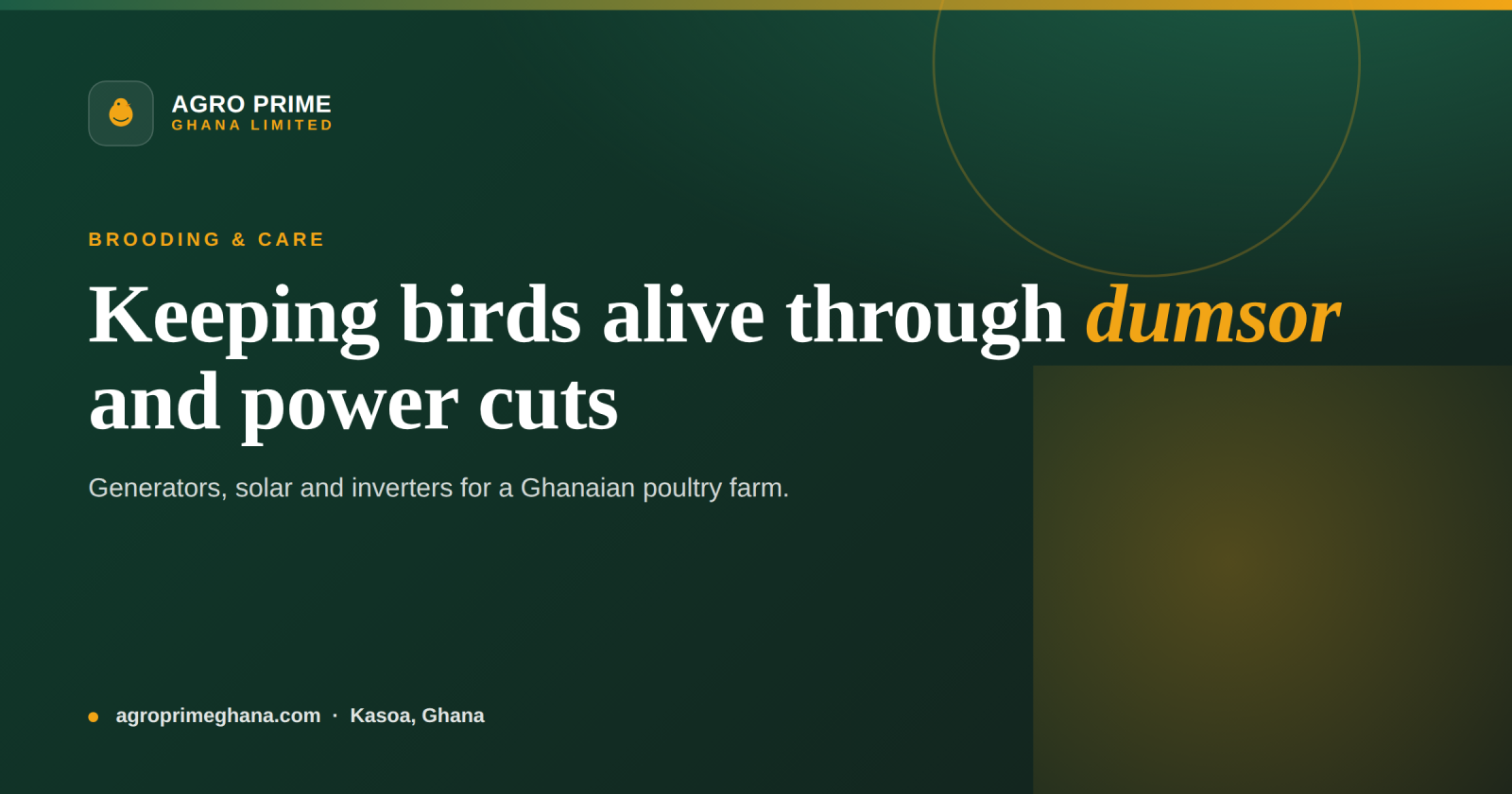 Backup Power for a Poultry Farm in Ghana — Agro Prime Ghana