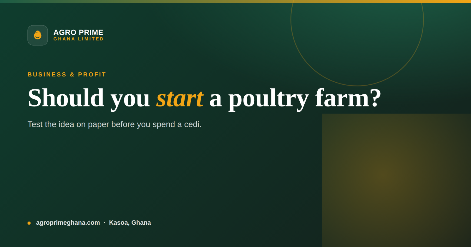 How to Do a Poultry Farm Feasibility Study in Ghana — Agro Prime Ghana
