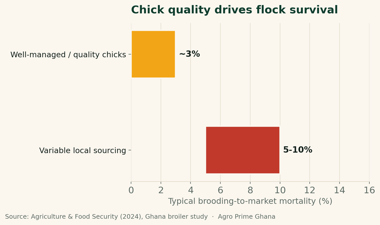 Range chart showing brooding-to-market mortality: about 3% for well-managed quality chicks versus 5-10% for variable local sourcing. Source: Agriculture & Food Security (2024).