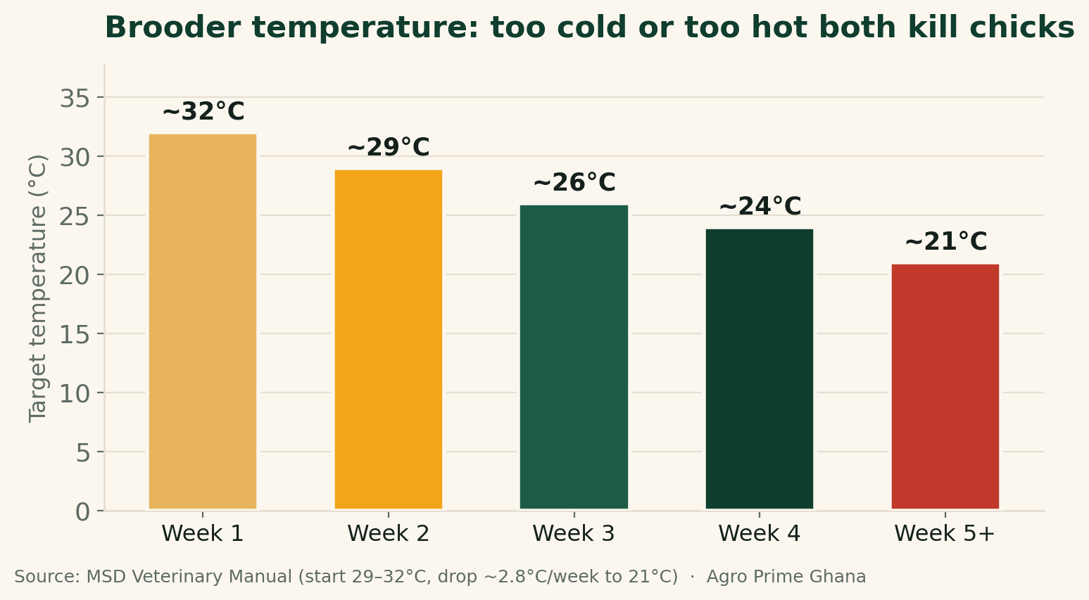 Bar chart of recommended brooder temperature by week, starting near 32C and dropping about 2.8C weekly to 21C. Source: MSD Veterinary Manual.