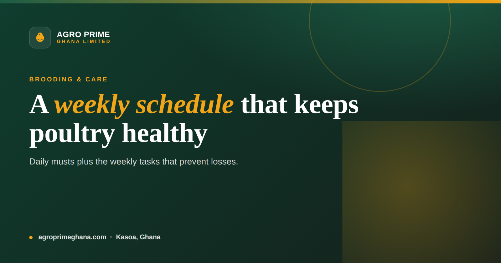 A Weekly Poultry Management Schedule for Ghanaian Farms — Agro Prime Ghana