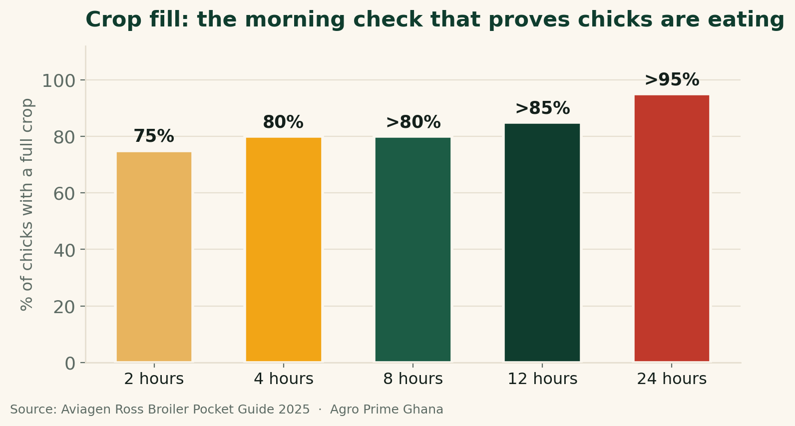 Bar chart of broiler crop-fill targets after placement: 75% of chicks full at 2 hours rising to over 95% by 24 hours. Source: Aviagen Ross.