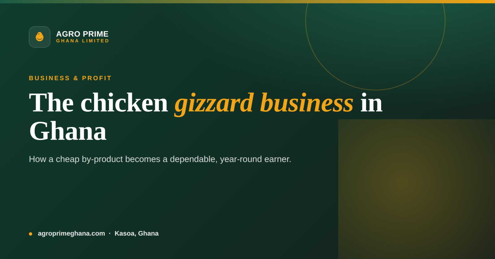 The Chicken Gizzard Business in Ghana: Demand, Cleaning & Margins — Agro Prime Ghana