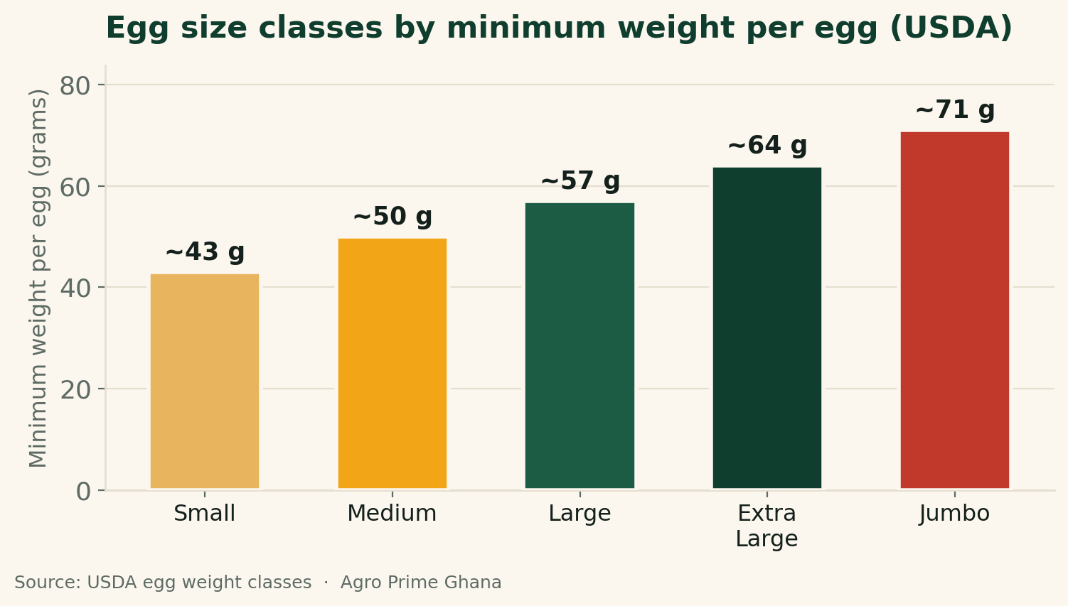 Bar chart of USDA egg weight classes by minimum grams per egg: Small ~43g, Medium ~50g, Large ~57g, Extra Large ~64g, Jumbo ~71g. Source: USDA.