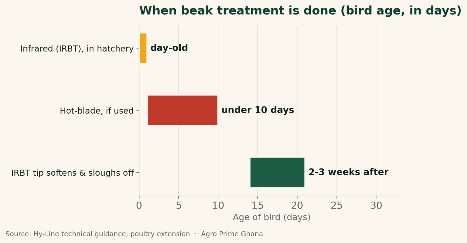 Range chart of beak-treatment timing by bird age: infrared at day-old, hot-blade under 10 days, IRBT tip sloughs off at 14-21 days. Source: Hy-Line.