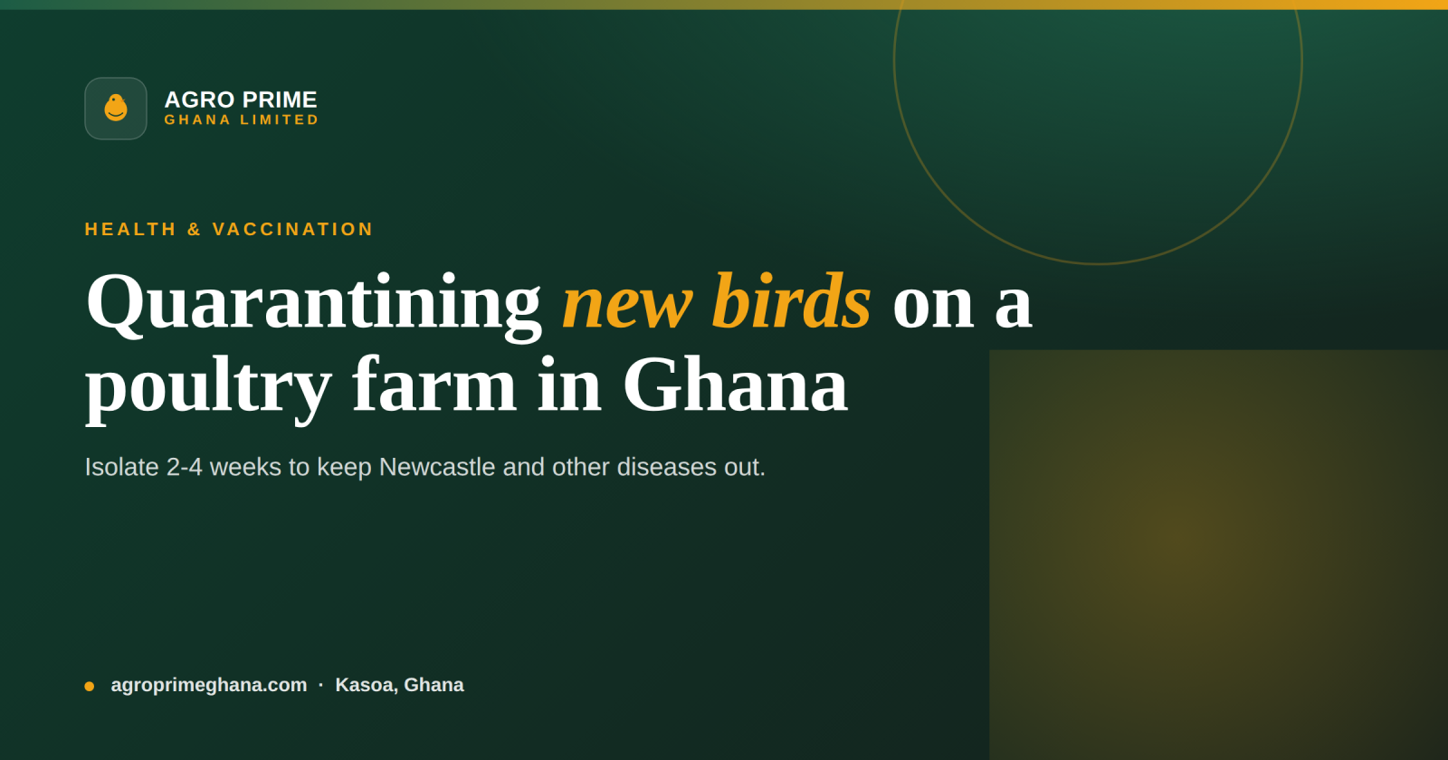 Quarantining New Birds on a Poultry Farm in Ghana — Agro Prime Ghana
