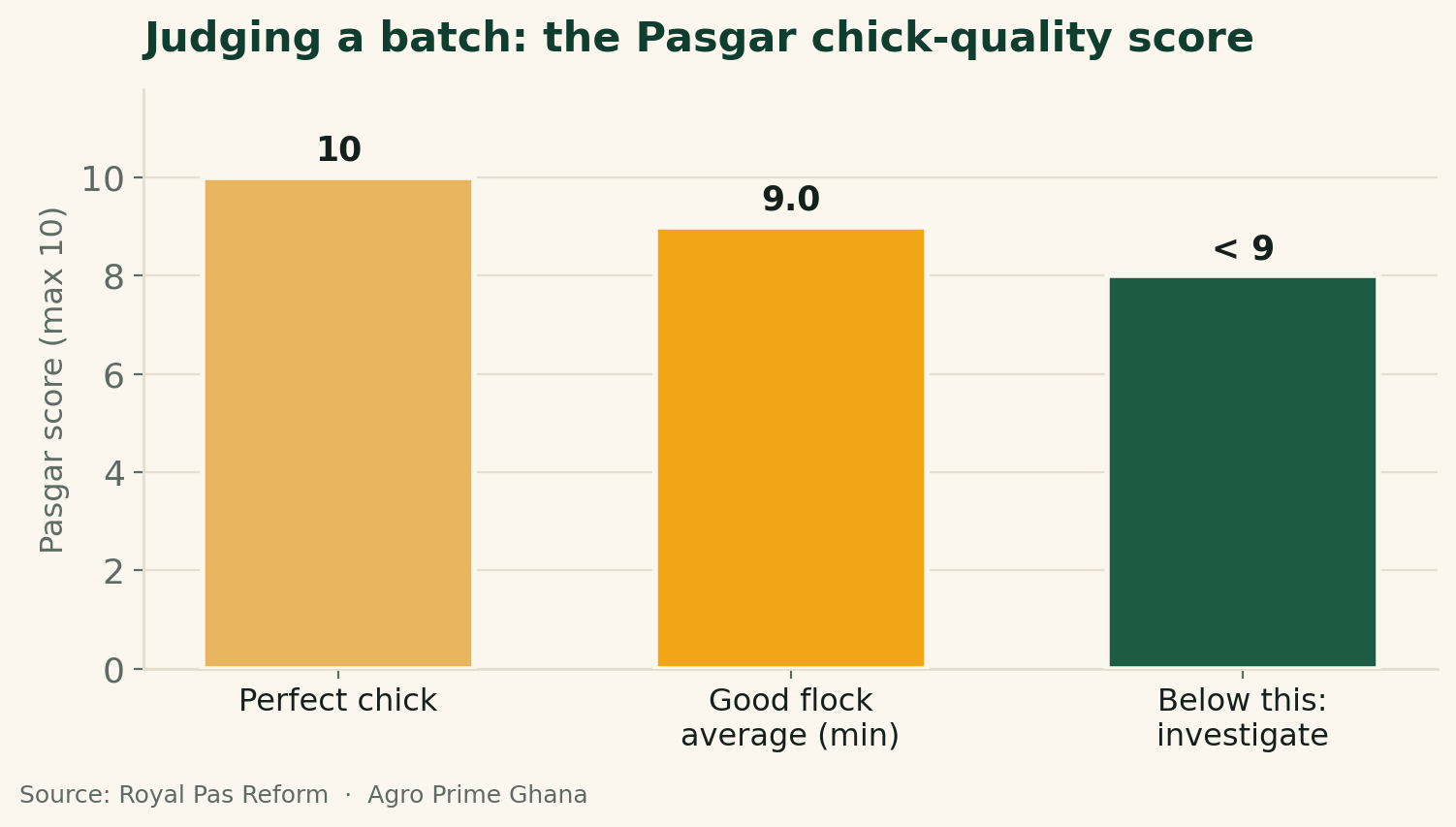 Bar chart of the Pasgar chick-quality score: a perfect chick scores 10 and a good flock averages at least 9. Source: Pas Reform.