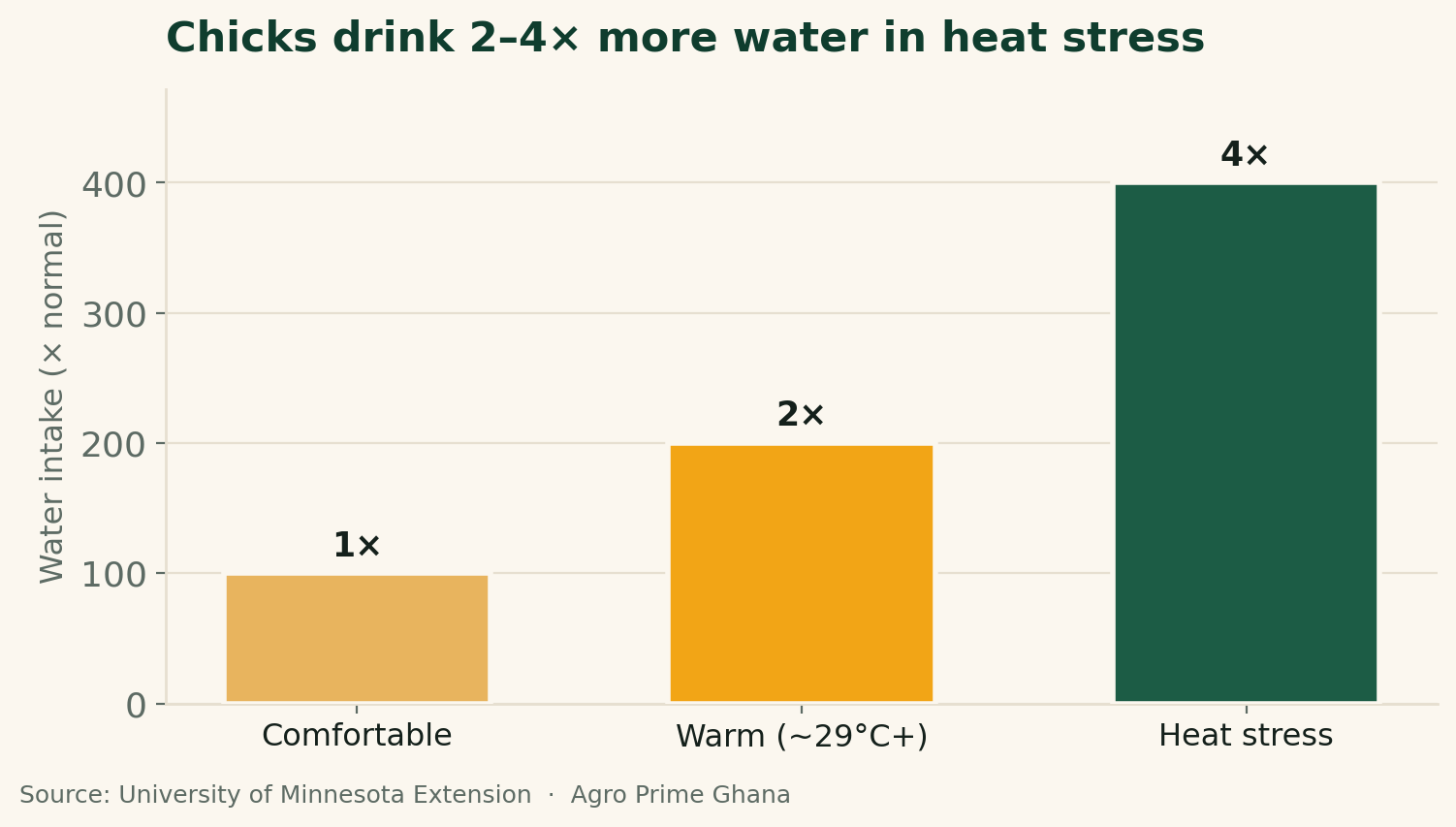 Bar chart showing chicks drink about 2 to 4 times more water under heat stress than when comfortable. Source: University of Minnesota Extension.