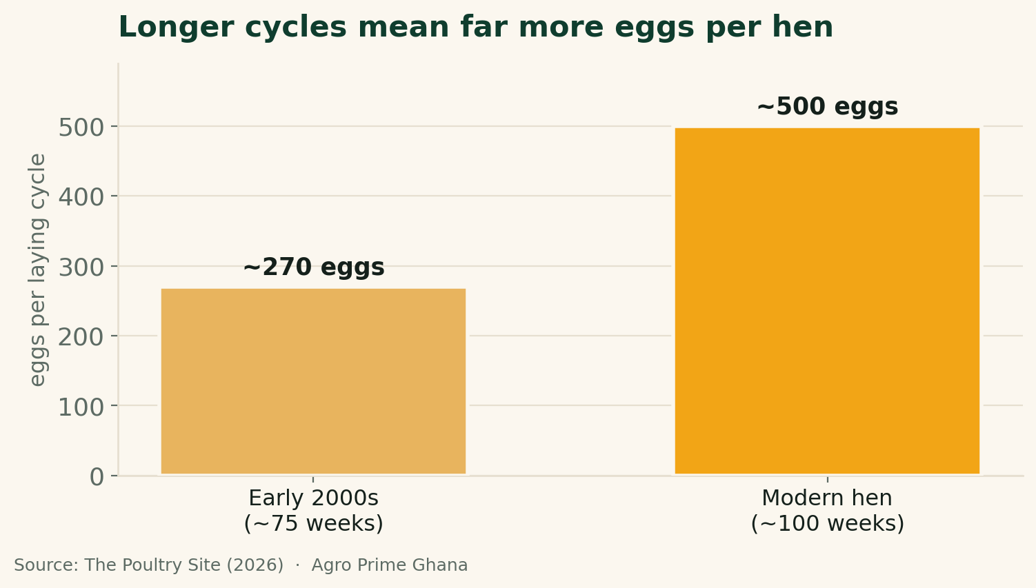 Bar chart comparing about 270 eggs per hen over roughly 75 weeks in the early 2000s with close to 500 eggs over 100 weeks for modern layers.